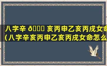 八字辛 🐘 亥丙申乙亥丙戌女命（八字辛亥丙申乙亥丙戌女命怎么样）